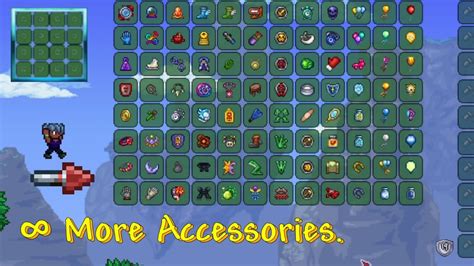 too many accessories terraria